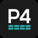 P4 Explorer